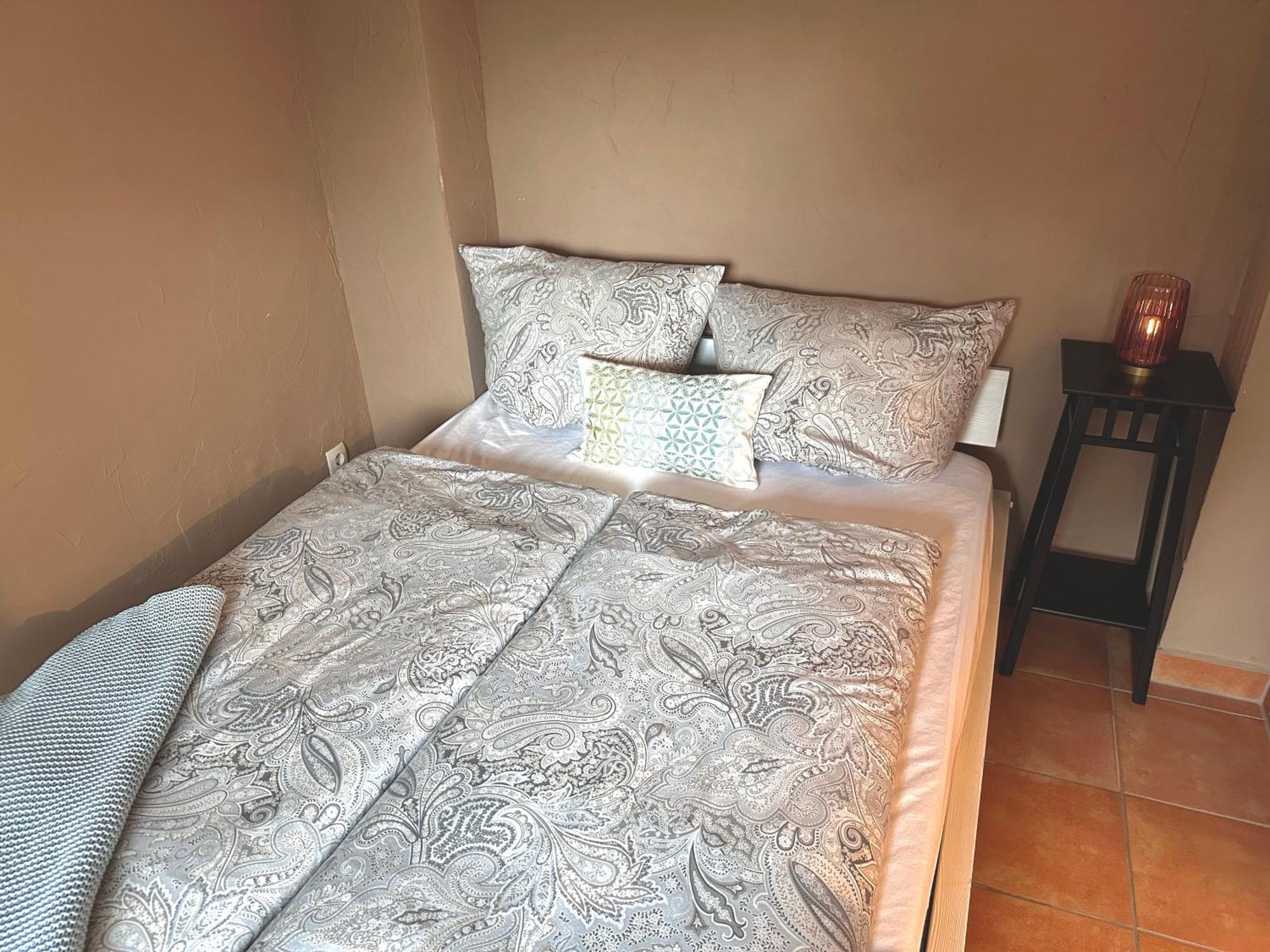 Apartement Am Schloss Pillnitz Дрезден Екстериор снимка